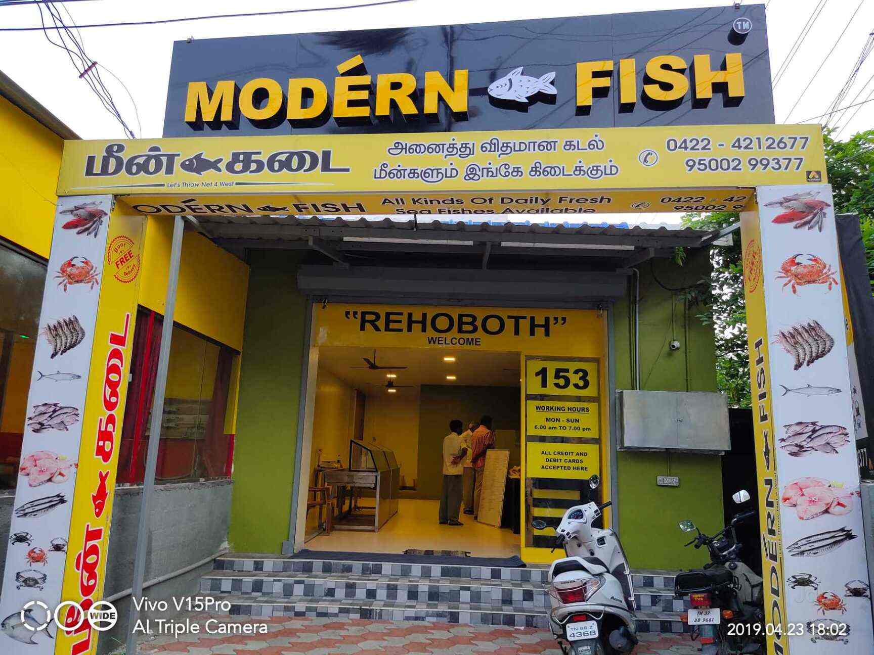 Modern Fish Saibaba Colony Fish Retailers In Coimbatore Justdial