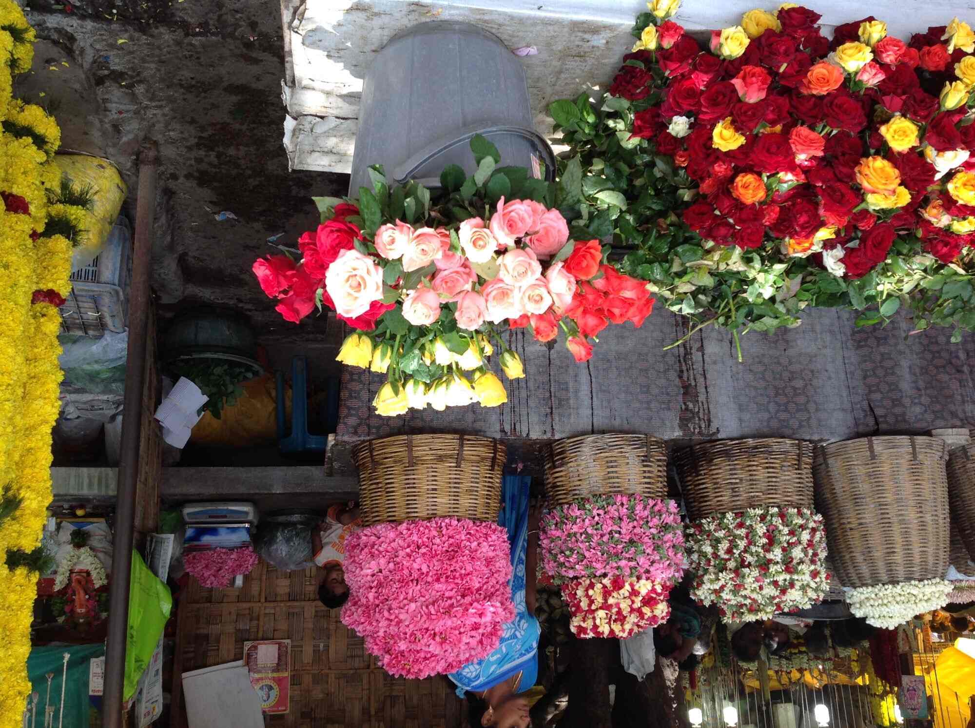 Saranya Malar Nilayam Rs Puram Coimbatore Florists In