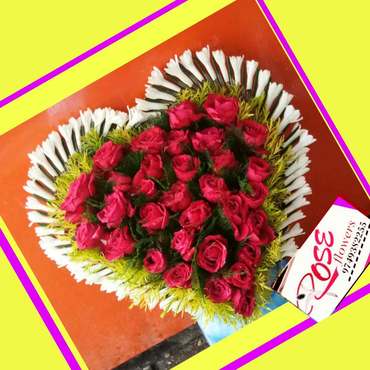 rose flowers cooch behar