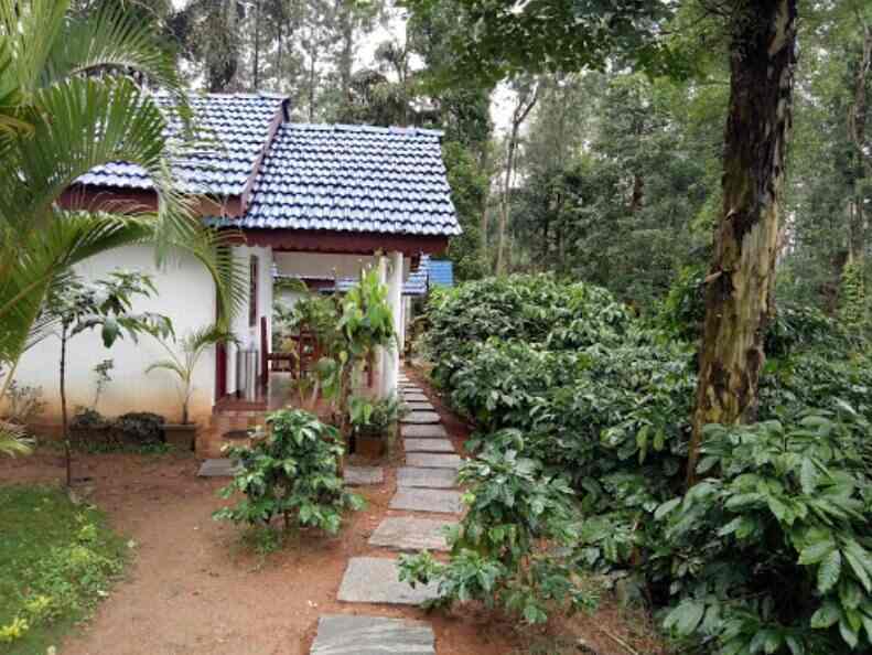 Jammabane Cottage Suntikoppa Madikeri Cottages On Hire In Coorg