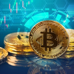 rivenditori bitcoin a delhi costi di transazione bitcoin