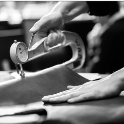 clarks dlf mall of india