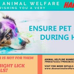 Doon Animal Welfare Dalanwala Veterinary Clinics In Dehradun Justdial