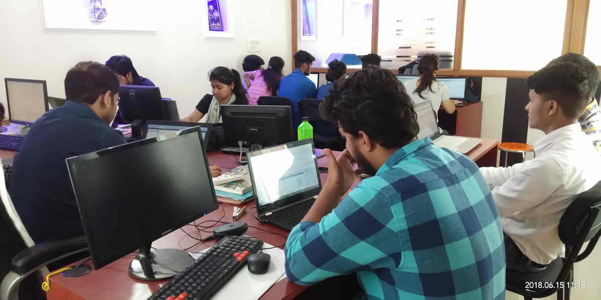 Halexo Software, Dehradun City - Internet Website Designers in Dehradun - Justdial