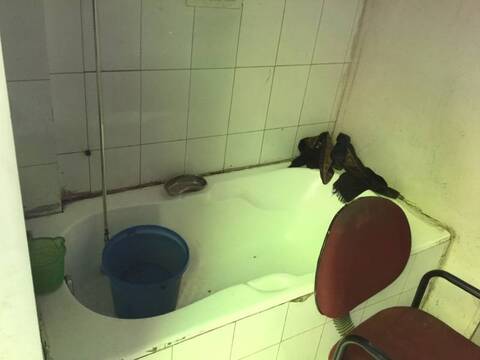 ram vihar dog clinic