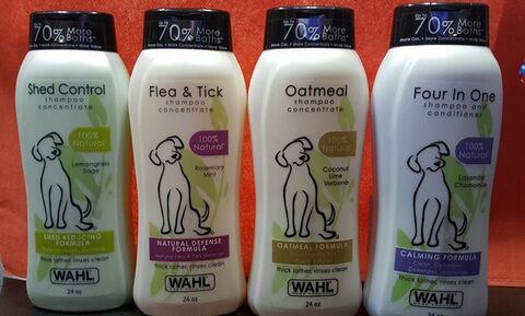 khan market pet shop