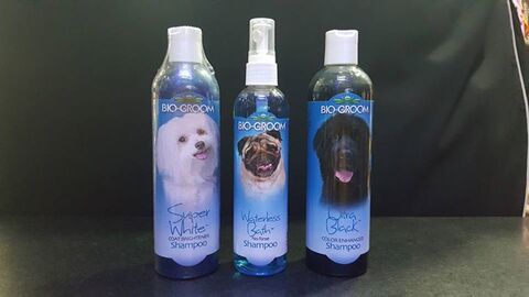 Windsor The Pet Shop Khan Market Pet Clinics In Delhi Justdial Kedi maması, köpek maması ve kedi kumlarını bir tıkla sipariş ederek avantajlı petshop alışverişinin keyfini yaşayabilirsiniz.