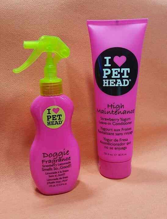 Windsor The Pet Shop Khan Market Pet Clinics In Delhi Justdial A local staff later on told me that it is a posh and expensive market.