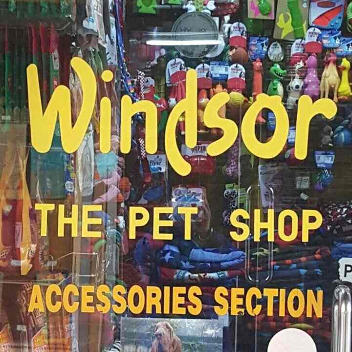 Windsor The Pet Shop Khan Market Pet Clinics In Delhi Justdial Najveći asortiman i najpovoljnije cene, u prodavnici ili online!