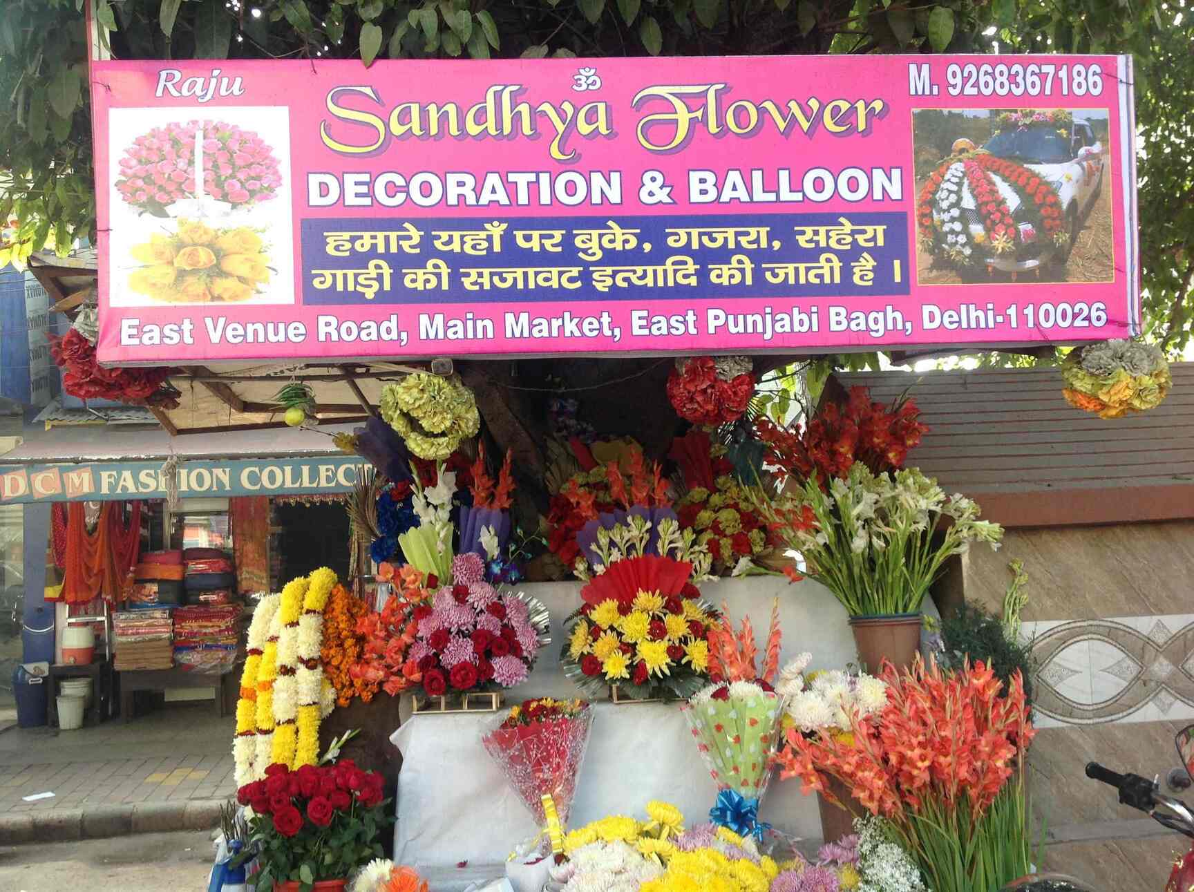 Flowers In Punjabi Best Flower Site