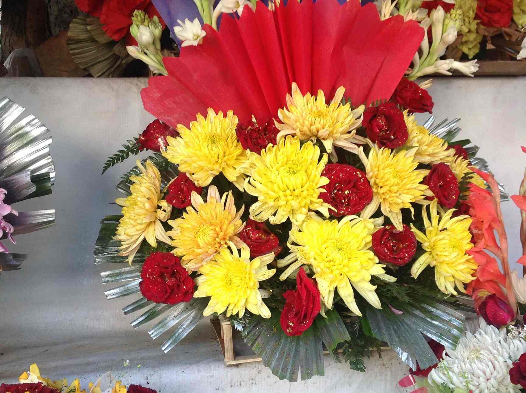 Flowers In Punjabi Best Flower Site