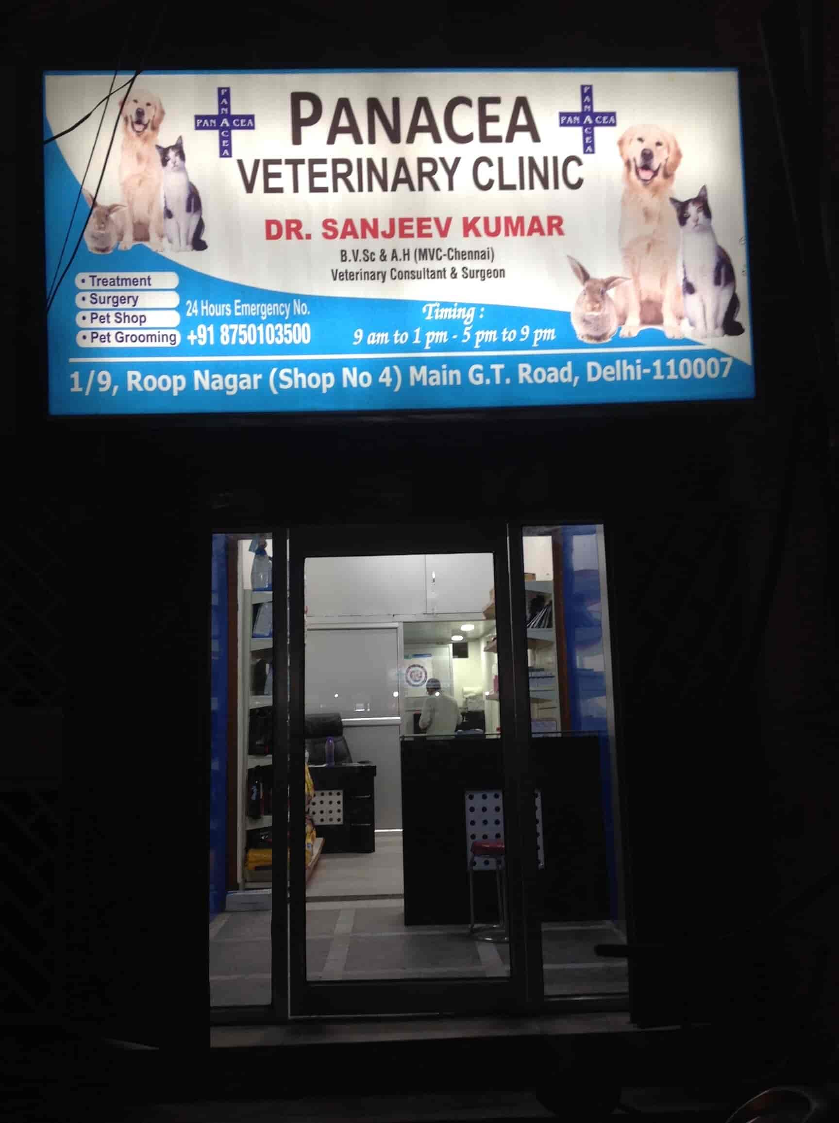 Panacea Veterinary Clinic Roop Nagar Pet Shops In Delhi Justdial