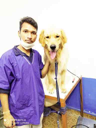 pet clinic in dwarka