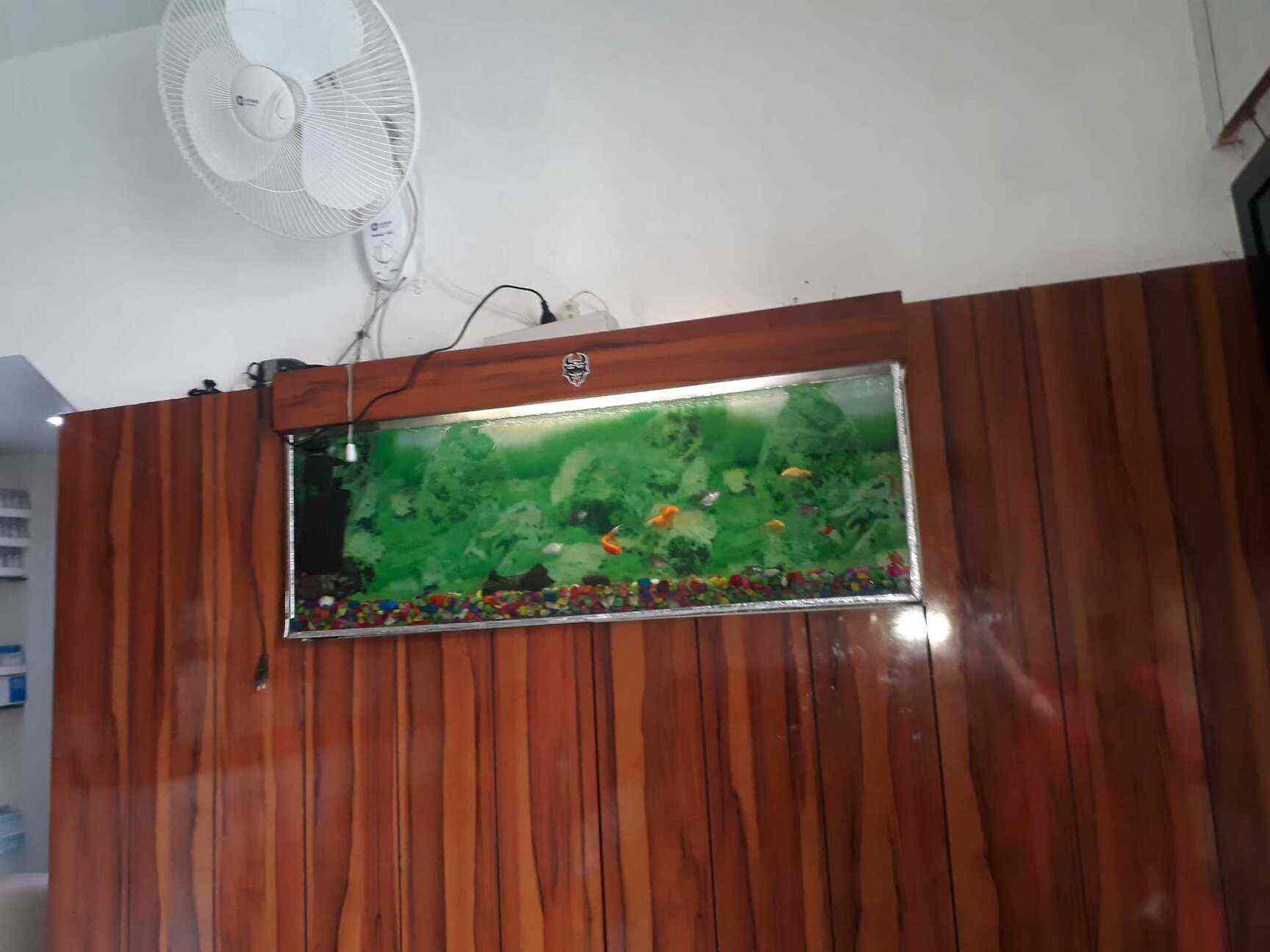 Uttam Clinical Lab Pathology Labs Book Appointment Online Pathology Labs In Uttam Nagar Delhi Justdial