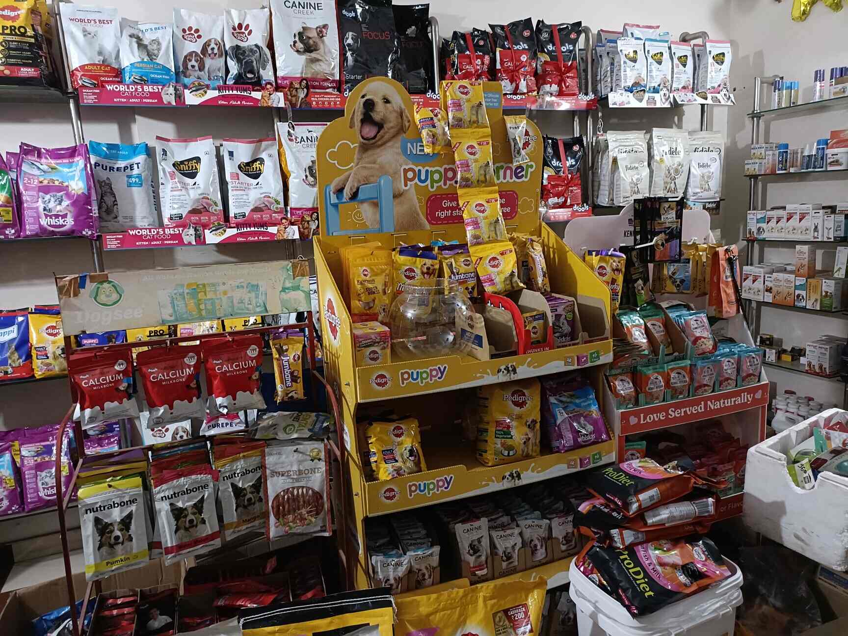 Low Maintenance Pets, Cavalier King Charles And Border, 41 OFF