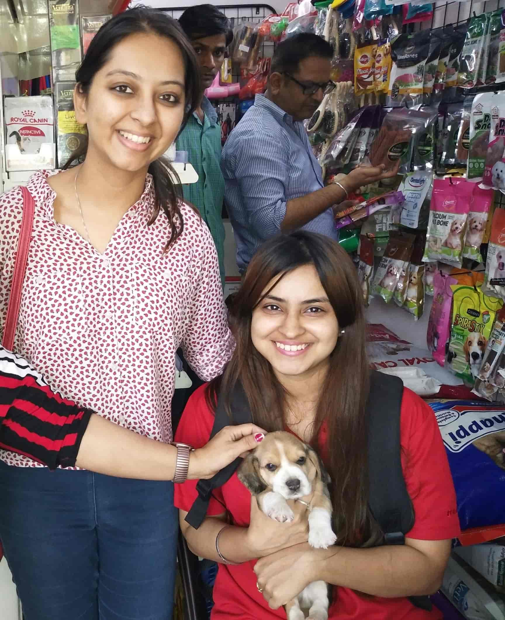 dog shop in dwarka