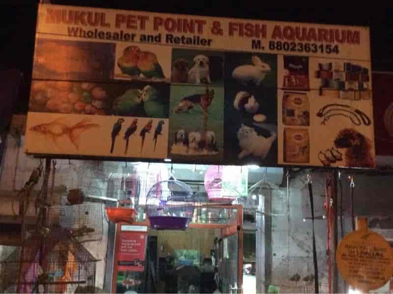 dog shop in dwarka