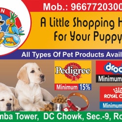 pet shop in rohini