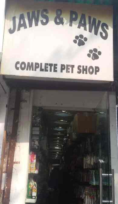 khan market pet shop