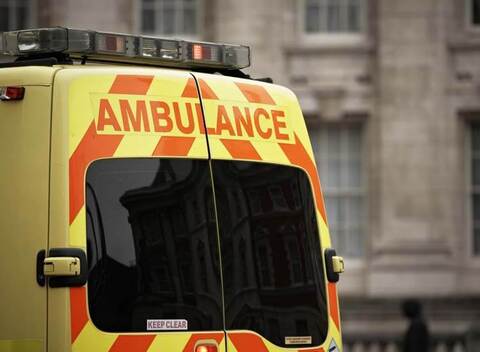 Cow Rescue Helpline Safdarjung Enclave Customer Care In Delhi Justdial