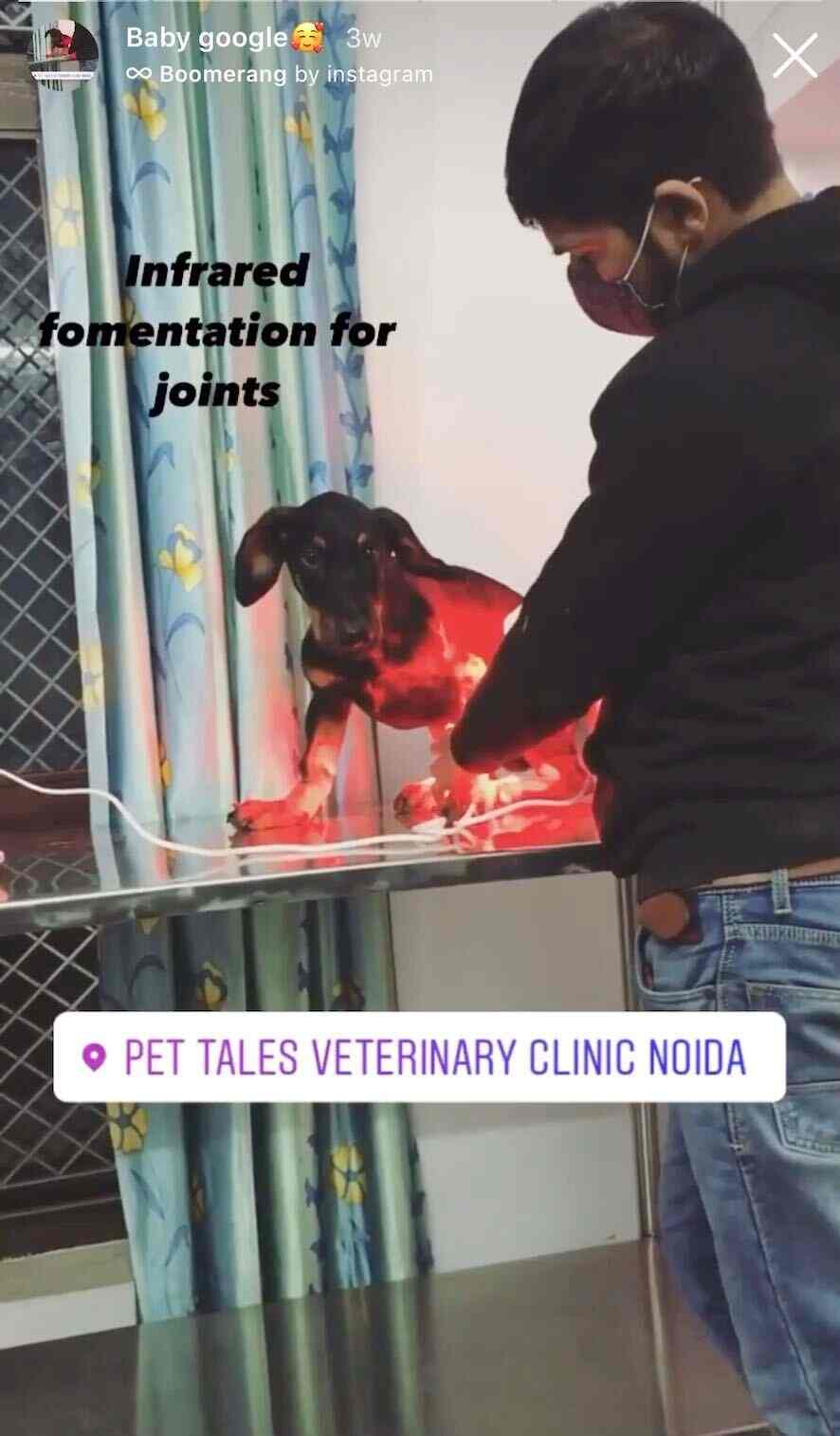 Pet Tales Veterinary Clinic Noida Sector 71 Veterinary Hospitals In Noida Delhi Justdial Pet Tales Veterinary Clinic Noida Sector 71 Veterinary Hospitals In Noida Delhi Justdial