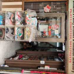 Rama Krishna Fancy Dresses, Janakpuri 