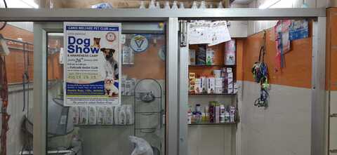 pet clinic in paschim vihar