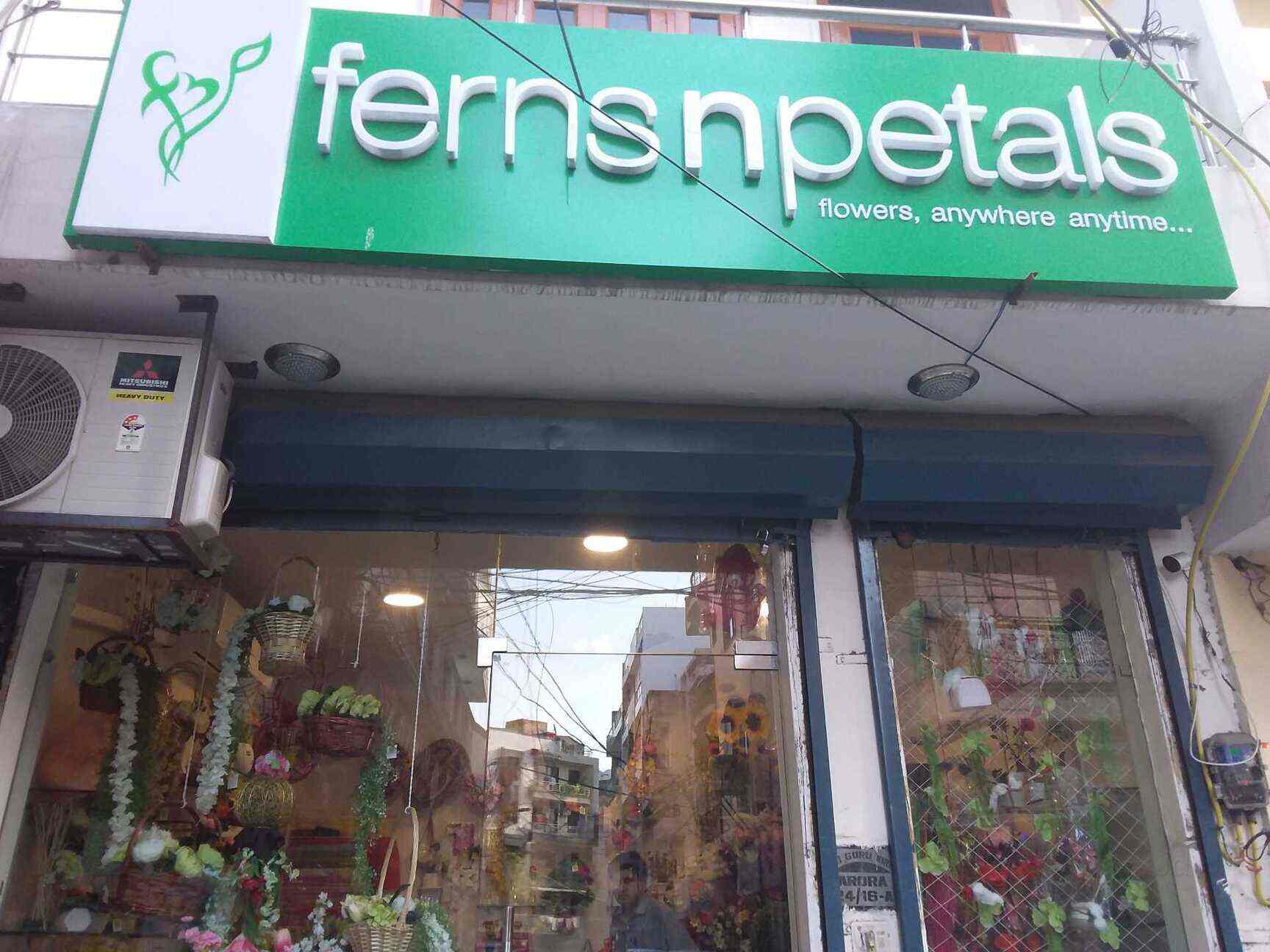 Aggregate more than 130 ferns and petals watches vietkidsiq.edu.vn