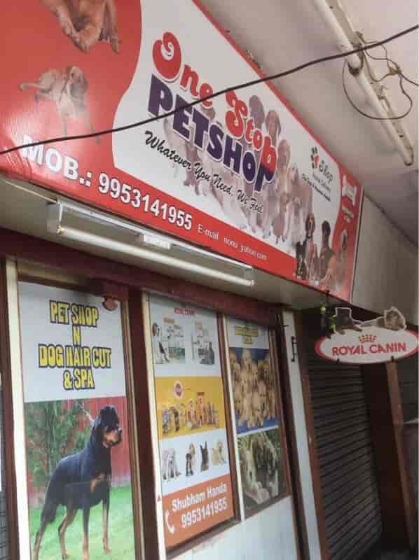 dog shop in dwarka