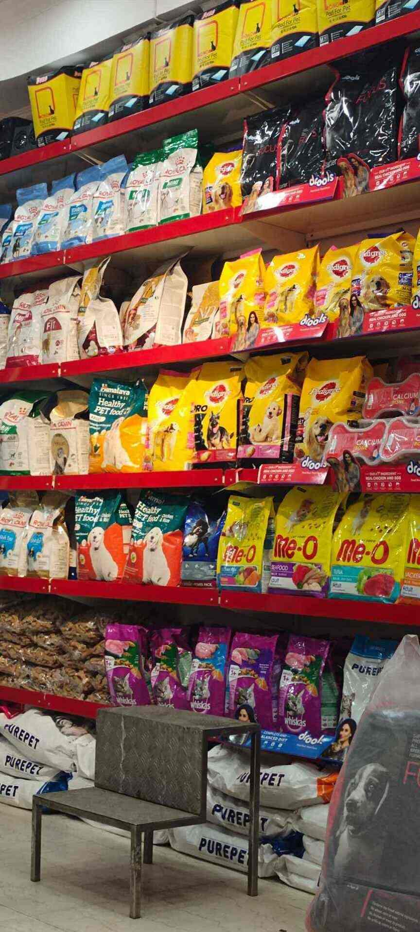 puppies world moti nagar