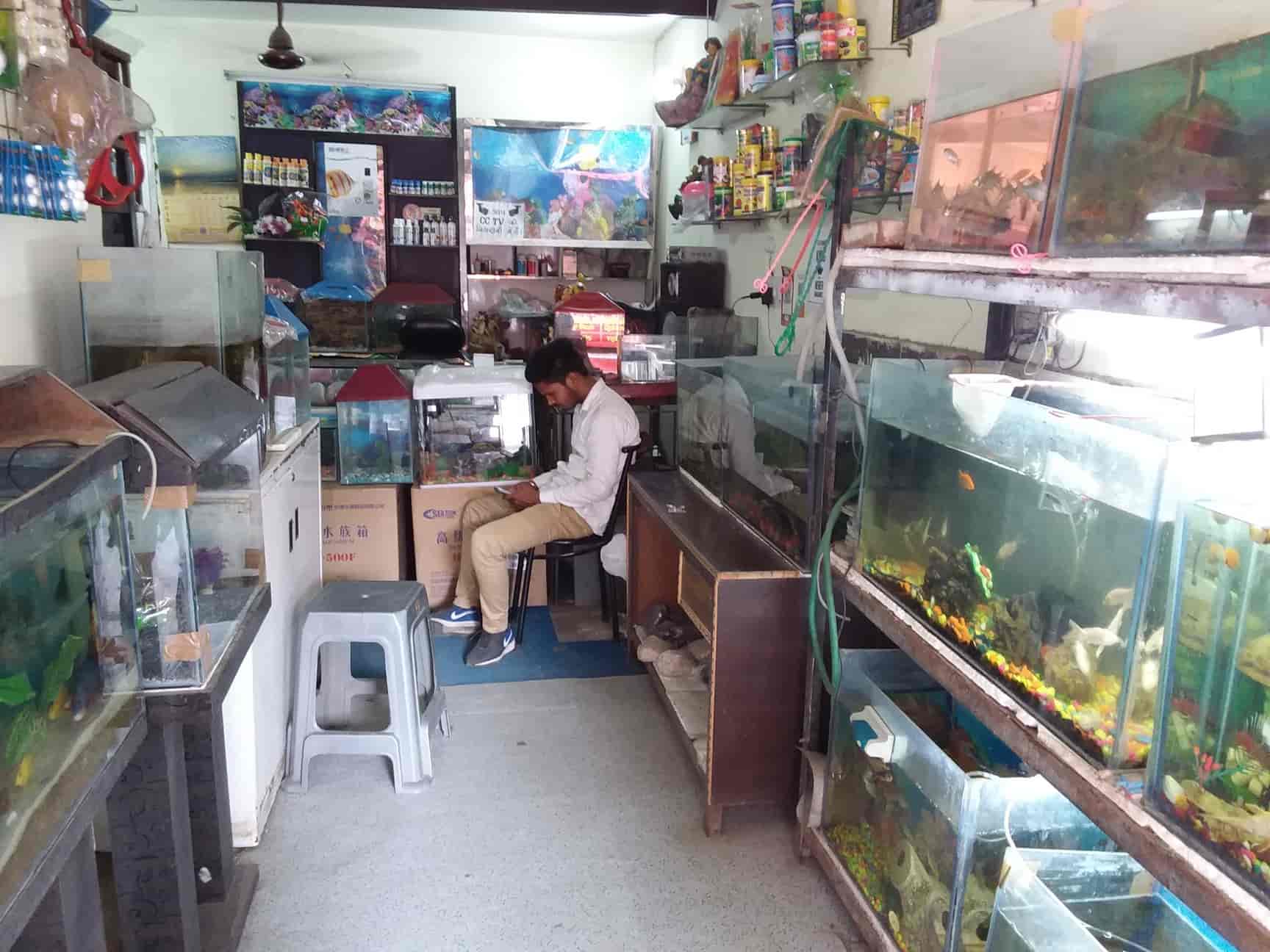 Pet Stores Near Me That Sell Fish Pet Shop Pet Store Pet Accessories