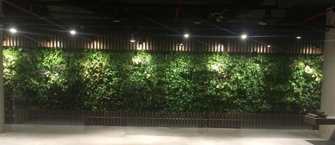 Floor Decor East Of Kailash Vertical Landscape Gardening
