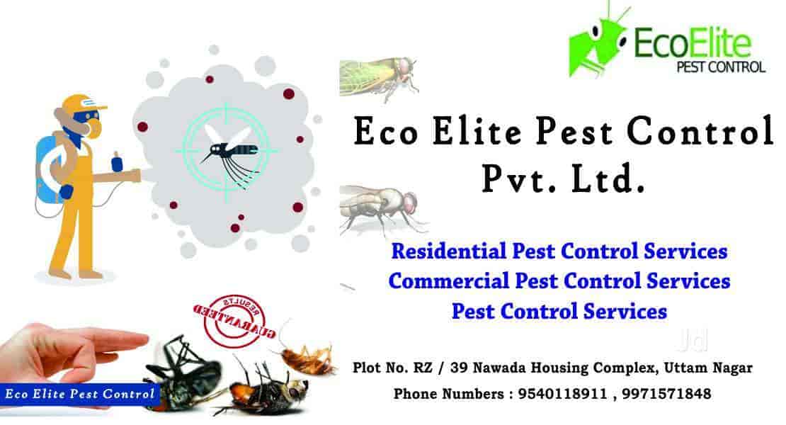 Eco Elite Pest Control Pvt Ltd Tilak Nagar Eco Elite Pest Control Pvt Ltd Tilak Nagar