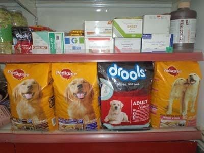 pet clinic in paschim vihar