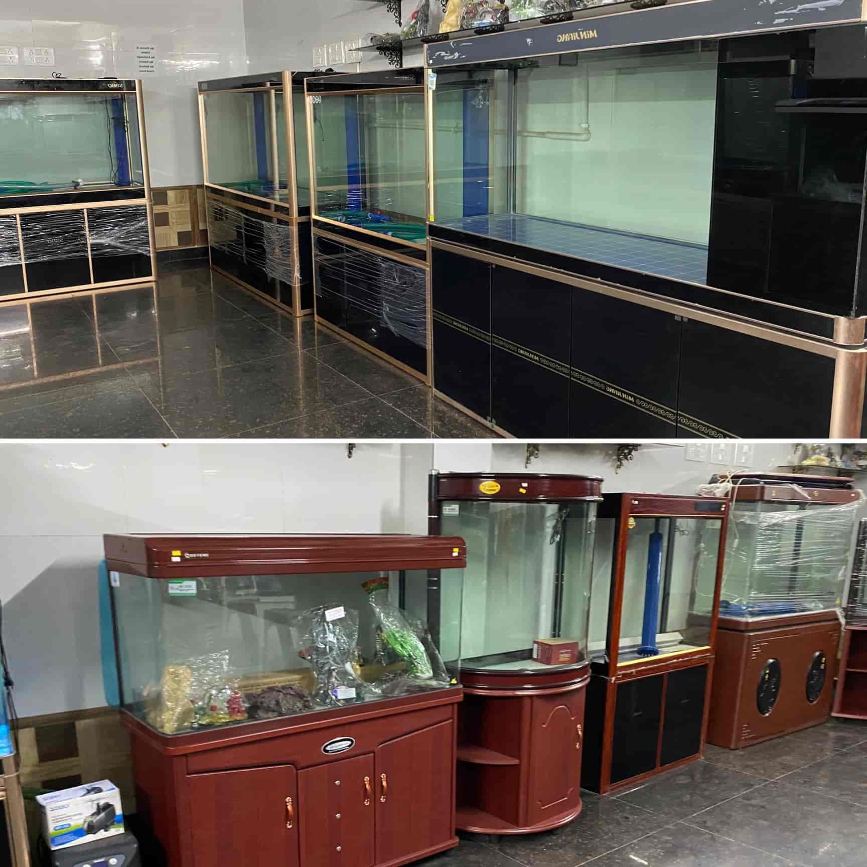 fish aquarium home laxmi nagar