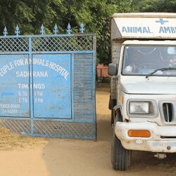 People For Animals Veterinary Doctors Book Appointment Online Veterinary Doctors In Garhi Harsaru Gurgaon Delhi Justdial