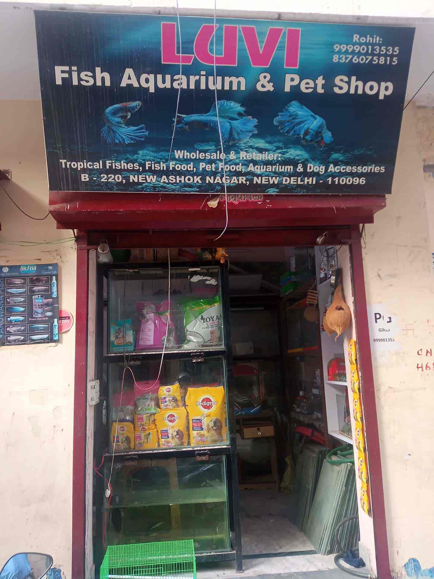 nearest pet fish shop