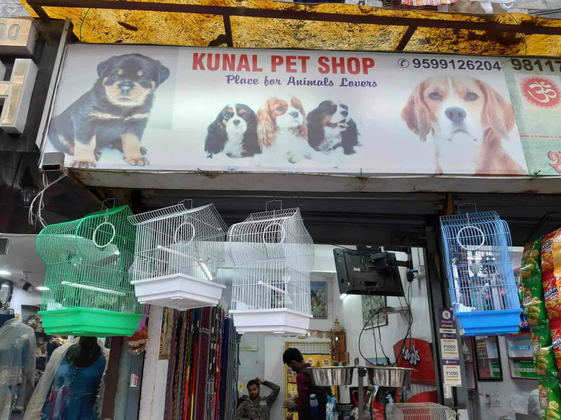 nearest dog pet shop