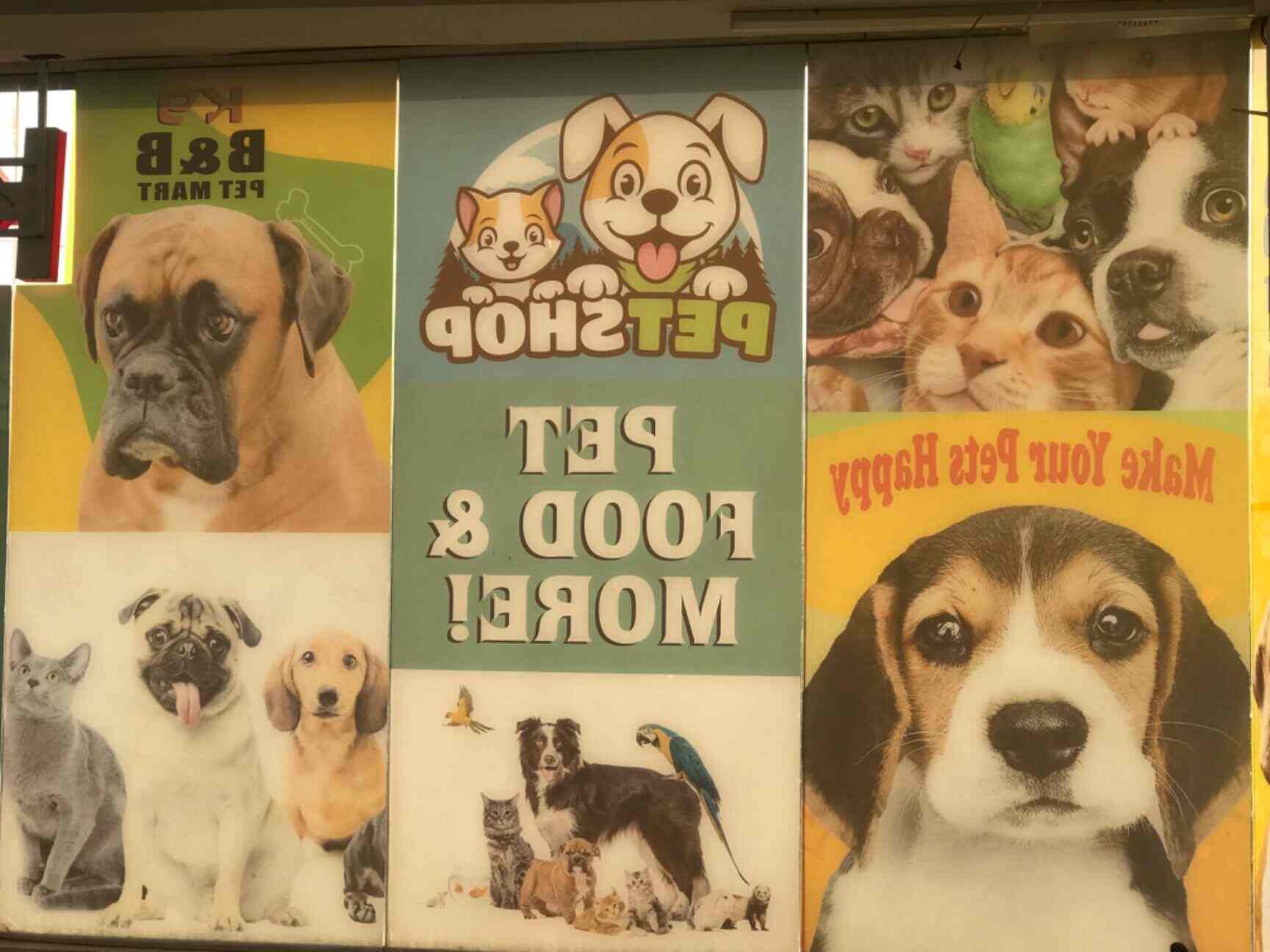 b&b pet store