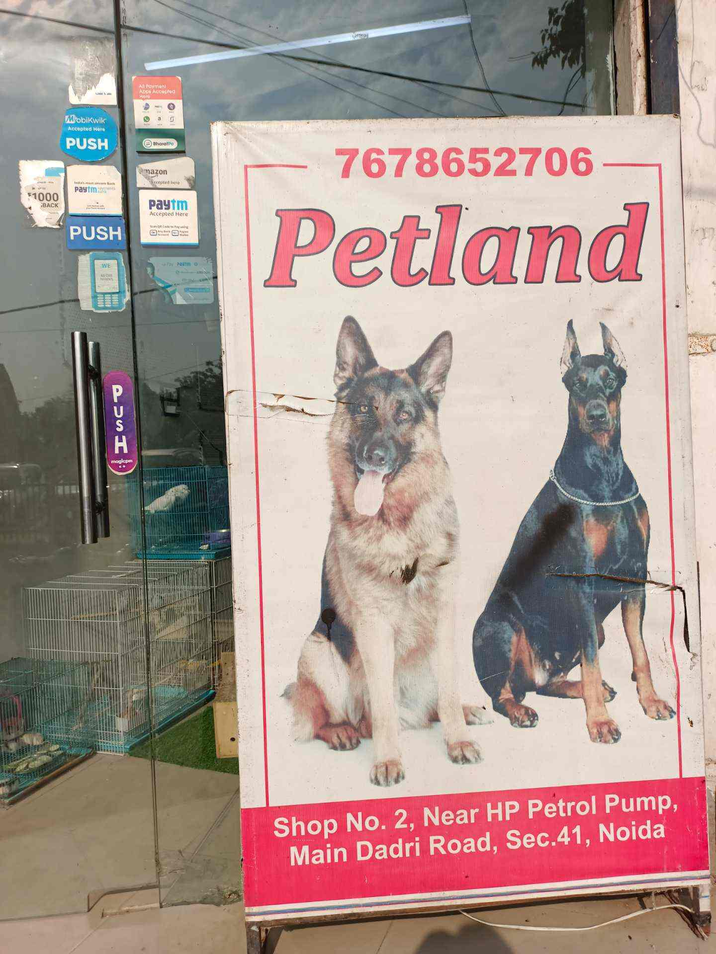 nearest petland
