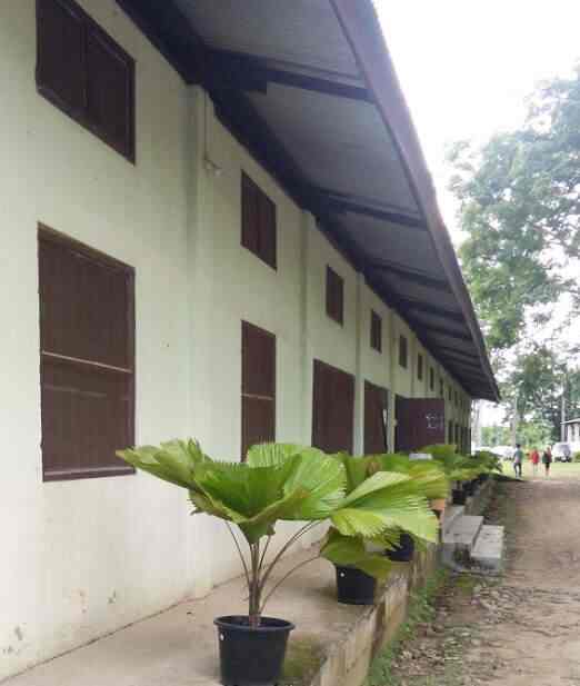 Youth Oasis Centre Youth Association In Dimapur Justdial