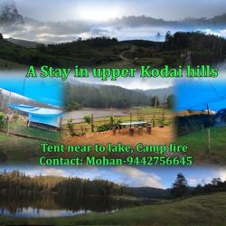 Black Forest Tent Trek The Camping Experience Opposite To Kodaikanal International School Camp Poondi Camp Organisers In Dindigul Justdial