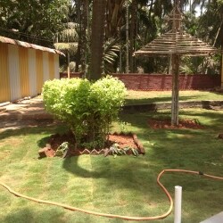 Cocohut Resort Diveagar Ho Resorts In Diveagar Justdial