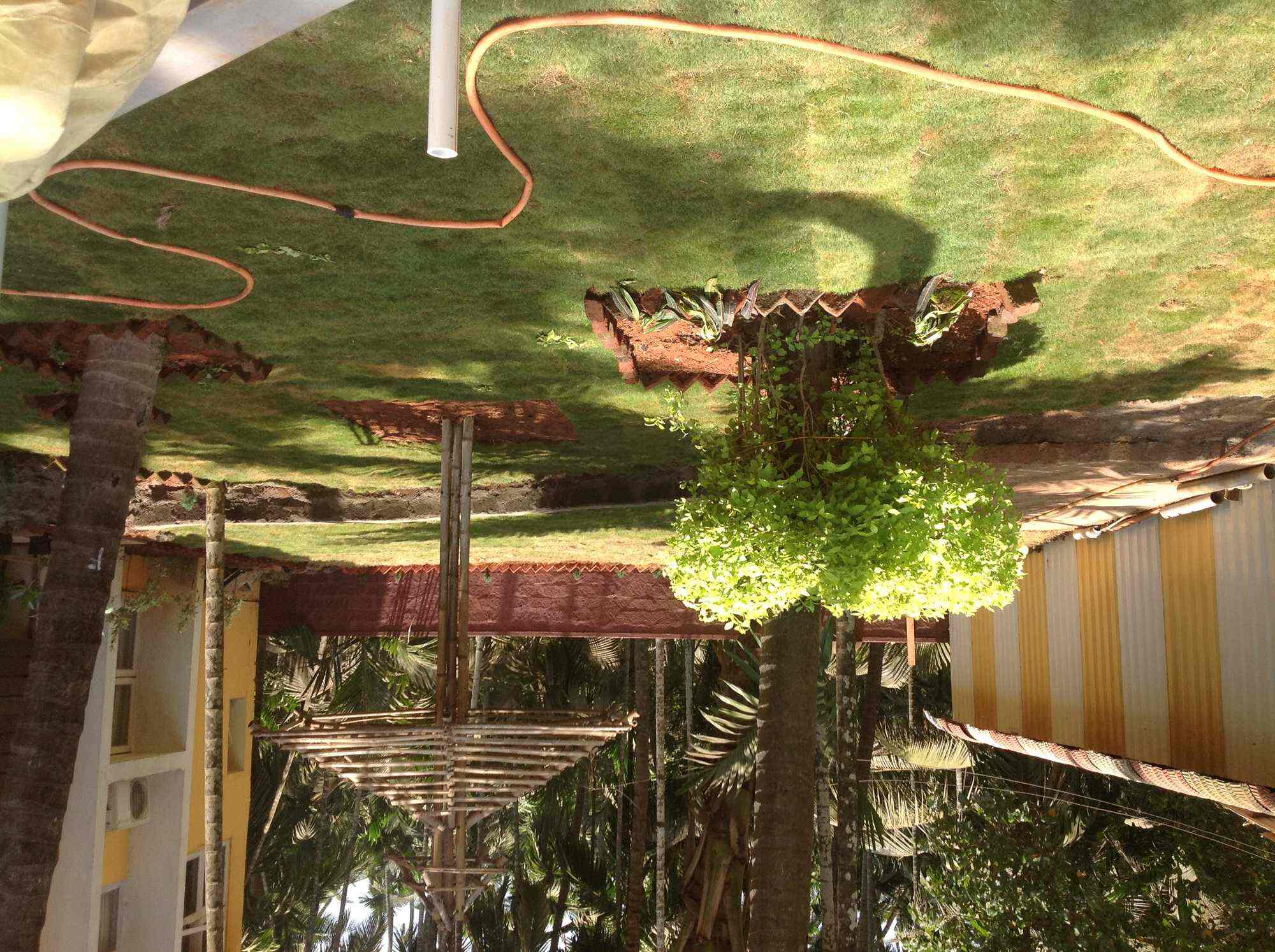 Cocohut Resort Diveagar Ho Resorts In Diveagar Justdial