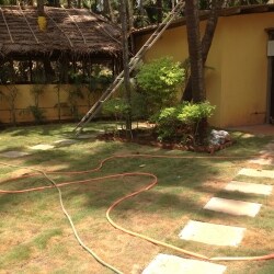 Cocohut Resort Diveagar Ho Resorts In Diveagar Justdial