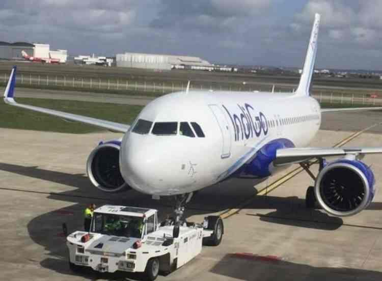 indigo airlines login