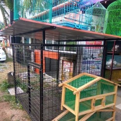 Pet Palace, Elamkunnapuzha - Pet Shops in Ernakulam - Justdial