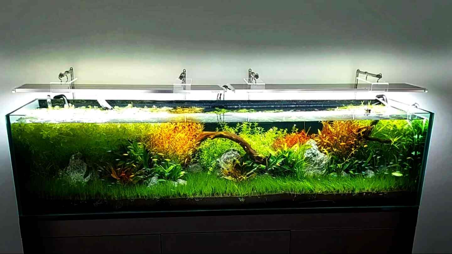 Details 75+ marvel aquarium decorations vova.edu.vn