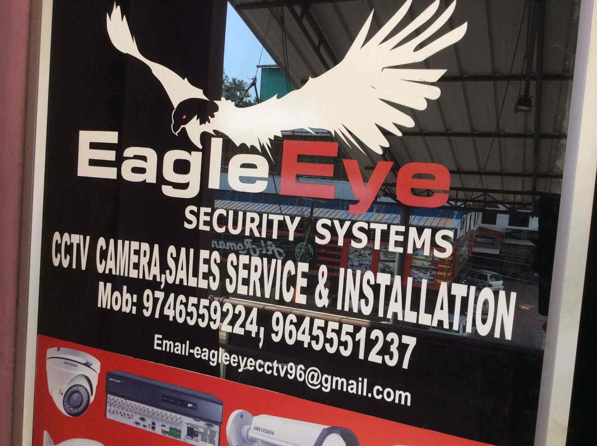 eagle vision surveillance