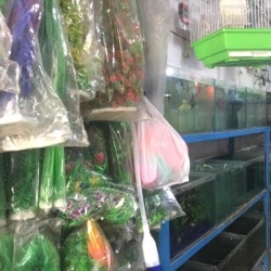 aqua pet shop near me